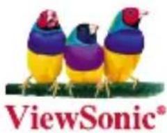 VIEWSONIC DVP5 - Pocket Camcorder Projector - 1