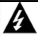Naxa NSW-10 - Advertencias y Precauciones - 1