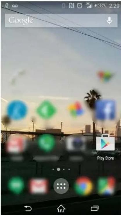 Google Play Store