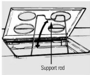 Support rod