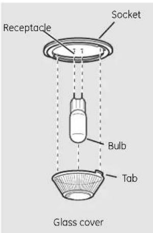 Receptacle Socket Bulb Tab Glass cover