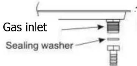 Gas inlet Sealing washer