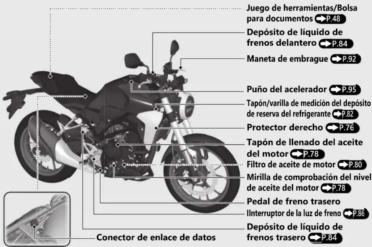 Honda CBF300 (2019) - Ubicación de los componentes - 1