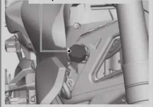 Honda CBF300 (2019) - ADVERTENCIA - 1