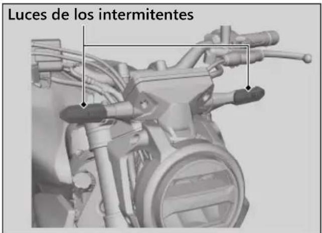 Honda CBF300 (2019) - Luces de los intermitentes delanteros y traseros - 1