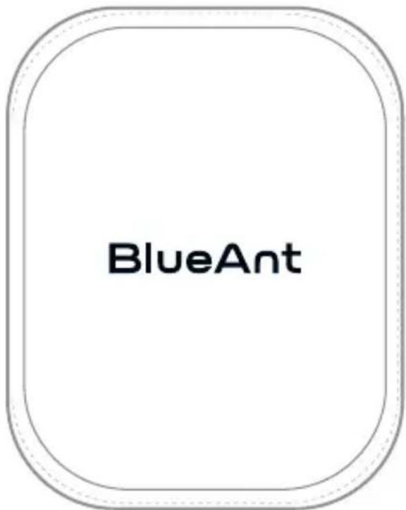 BlueAnt