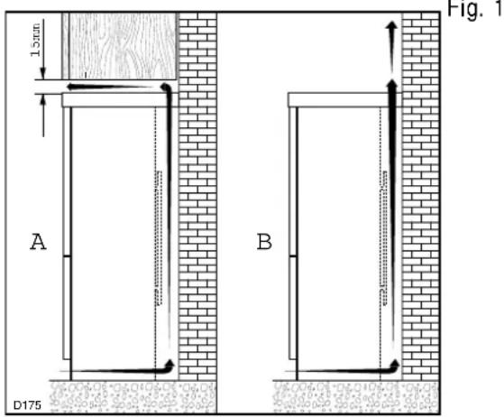 Fig. 1 1mm A B D175
