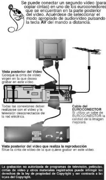 Se puede conectar un segundo vídeo (para copiar cintas) en uno de los euroconectores que se encuentran en la parte posterior del vídeo. Acuérdese de seleccionar el modo apropiado de audio/vídeo pulsando la tecla AV del mando a distancia. Vista posterior del Vídeo Cooque la cinta de vídeo virgen en la que desea grabar en este vídeo. Todas las conexiones deben realizarse con el vídeo y la televisión desconectacos de la red eléctrica. Cable del EUROCONECTOR Si utiliza un cabe de EUROCONECTOR la calidad de la imagen mejorará. Vista posterior del vídeo que realiza la reproducción Situe la cinta de vídeo de la que quiere grabar en este vídeo. La grabación no autorizada de programas de televisión, películas, cintas de vídeo y otros materiales registrados puede infringir los derechos de la ley de propiedad de Copyright y ser contraría a las leyes del Copyright.
