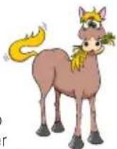 Honda XR250 Tornado (2004) - Animais - 1
