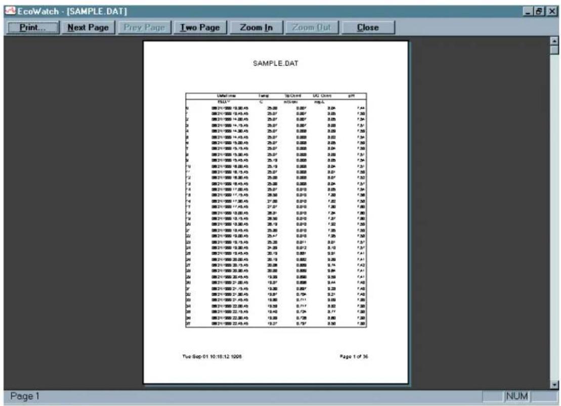 YSI DB9 - PRINT PREVIEW - 1