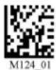 Code Reader 3500 - - Bluetooth Radio Time Out Settings - 5
