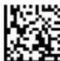 Code Reader 3500 - Auto Transfer Buffer Memory - 3