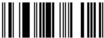 Black and white barcode image with vertical lines and a central bar