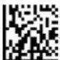 Code Reader 3500 - Auto Transfer Buffer Memory - 2