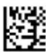 Code Reader 3500 - - Mirror Decoding - 2