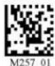 Code Reader 3500 - - Postal Symbologies - 5