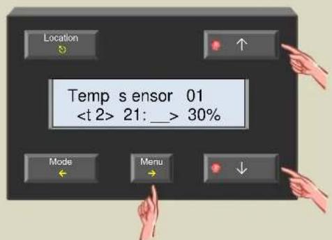 Temp sensor 01 21: __> 30%
