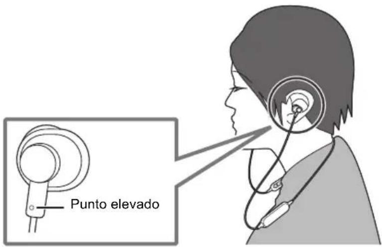 Punto elevado