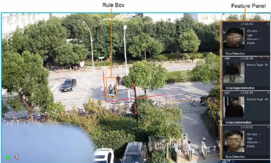 Rule Box Feature Panel 14:31:50 Gender - Age - Glasses - Music - Face Detection 468 14:31:48 Record Type: HL Cross Region Detection 467 14:31:43 Record Type: HL Cross Line Detection 14:30:51 Gender - Age - Glasses - Music - Face Detection
