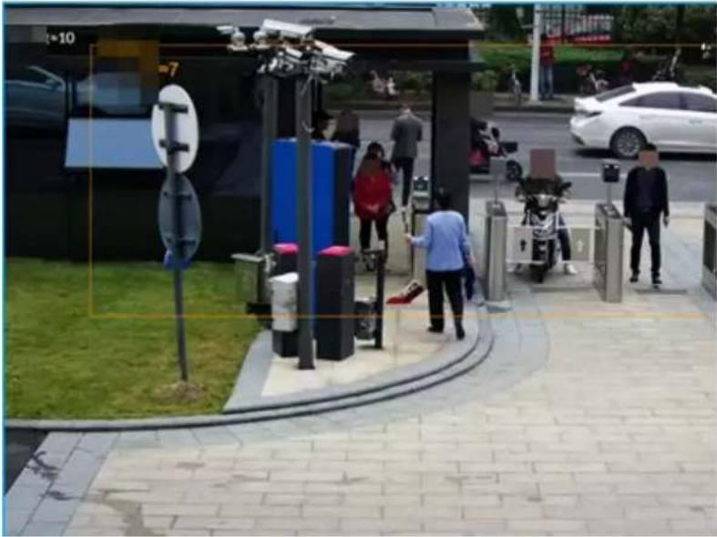 Dahua Technology IVSS7024-8M - Live View of Crowd Distribution - 1
