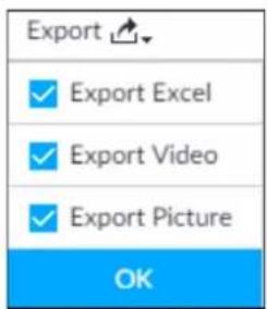 Export ✓ Export Excel ✓ Export Video ✓ Export Picture OK