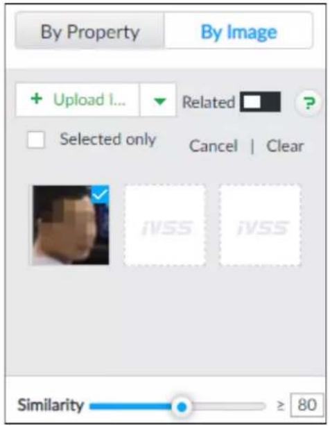 By Property By Image + Upload 1... Related ? Selected only Cancel | Clear iVSS iVSS Similarity ≥ 80