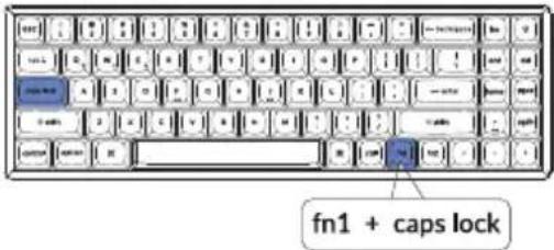 fn1 + caps lock