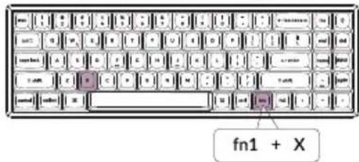 fn1 + X