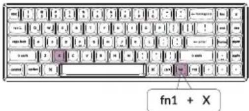 fn1 + X