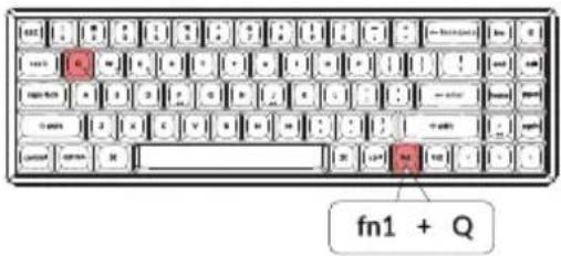 fn1 + Q