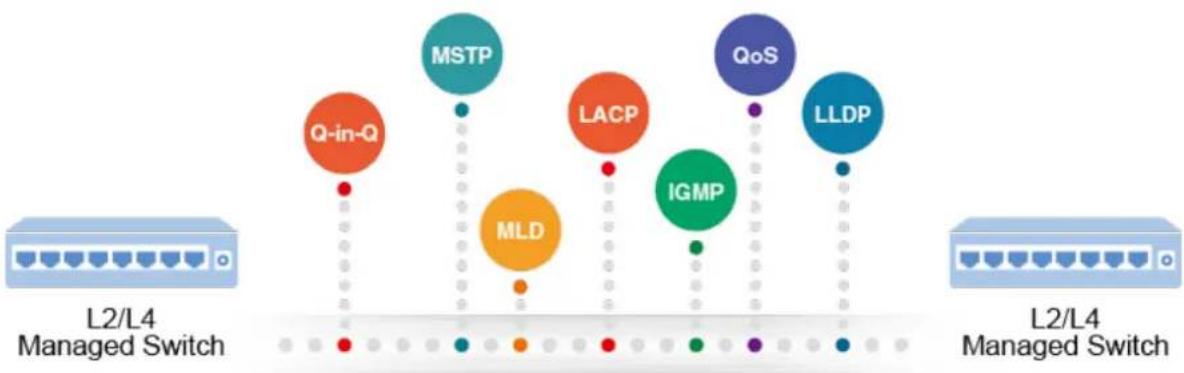 graph TD subgraph L2/L4 Managed Switch A["Router"] B["Q-in-Q"] C["MSTP"] D["MLD"] E["LACP"] F["IGMP"] G["QoS"] H["LLDP"] end subgraph L2/L4 Managed Switch I["Router"] J["Qin-Q"] K["LLDP"] end