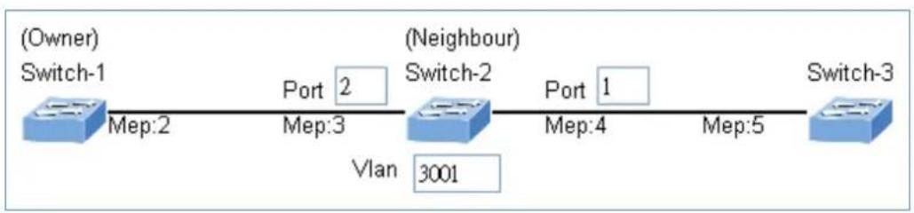 graph LR A["(Owner) Switch-1"] -->|Mep:2| B["(Neighbour) Switch-2"] B -->|Port 2 Mep:3| C["(Owner) Switch-1"] B -->|Vlan 3001| D["(Neighbour) Switch-2"] B -->|Port 1 Mep:4| E["(Owner) Switch-3"] E -->|Mep:5| F["(Owner) Switch-3"]