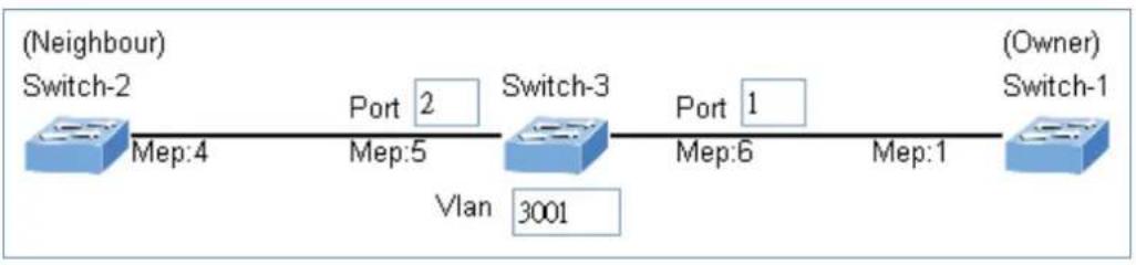 graph LR A["Switch-2 (Neighbour)"] -->|Mep:4| B["Switch-3"] B -->|Port 2 Mep:5| C["Switch-3"] B -->|Vlan 3001| D["Switch-3"] B -->|Port 1 Mep:6| E["Switch-1 (Owner)"] E -->|Mep:1| F["Switch-1"]