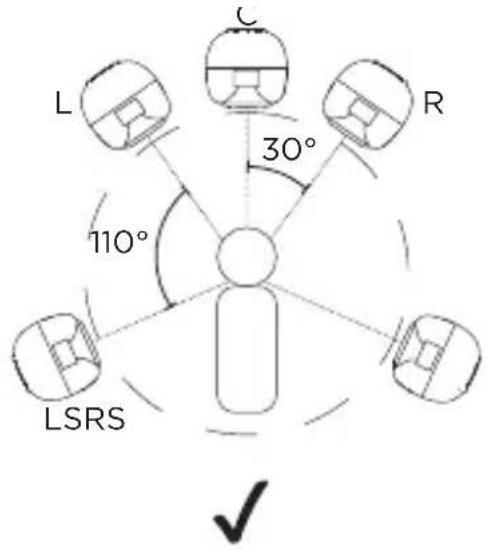 C 30° L R 110° LSRS ✓