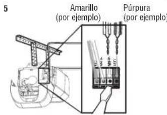 5 Amarillo (por ejemplo) Púrpura (por ejemplo)