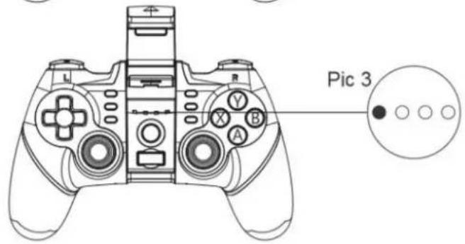Pic 3