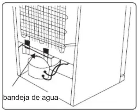 bandeja de agua