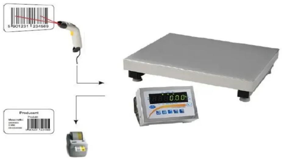 81901231 234569 Producent Maser ratio: 0.000000 D/mm X=0.000000 Product 18.0.0 0.0.0