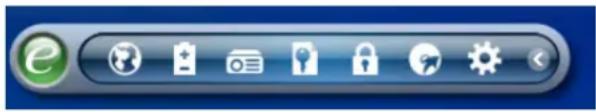 Toolbar with icons representing e, global, email, lock, gear, and refresh (no text or symbols)