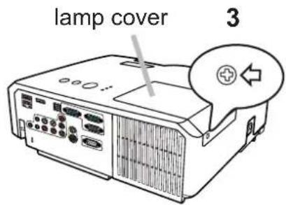 lamp cover 3
