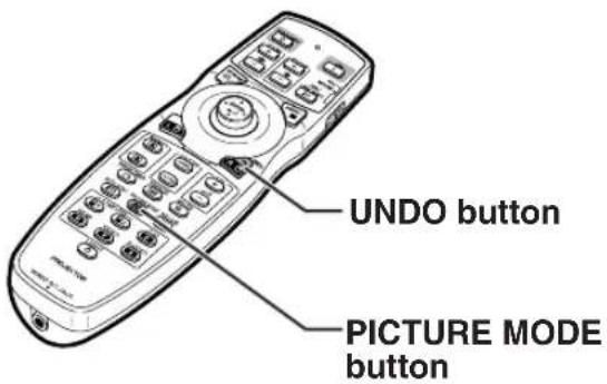 UNDO button PICTURE MODE button