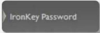 Ironkey Basic D250 8GB - Step Description - 4