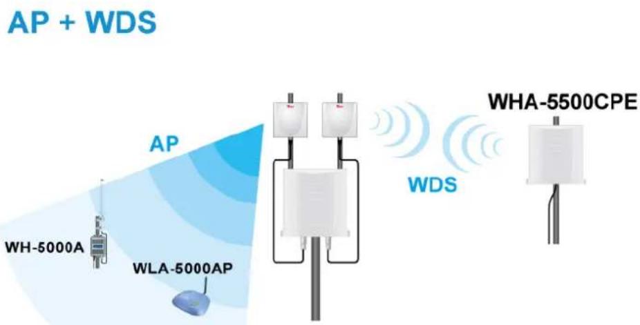 AP + WDS AP WH-5000A WLA-5000AP WDS WHA-5500CPE