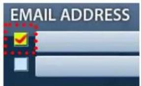 EMAIL ADDRESS