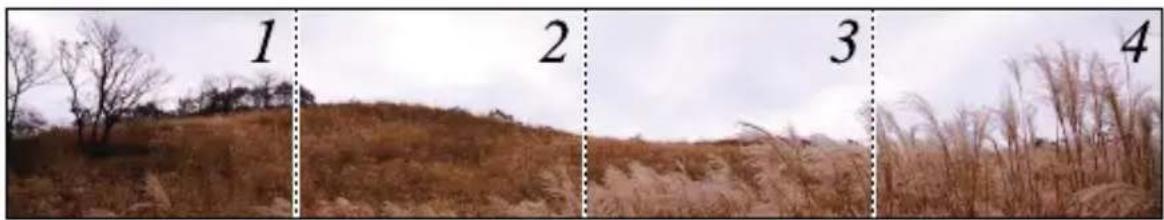 SAMSUNG B7300 - Capture panoramic photos - 1
