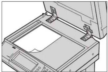 XEROX WorkCentre 5225A - Cristal de exposición - 2