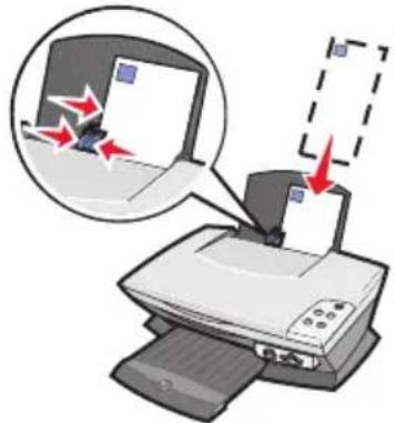LEXMARK 3100 Series All-In-One - Cargade papel - 3