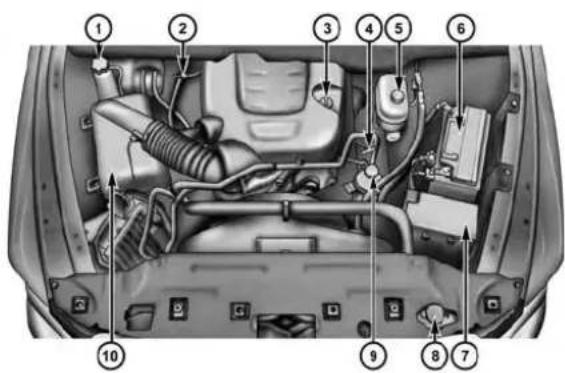 Labeled diagram of a car engine bay with numbered components for identification