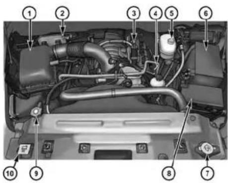 Labeled diagram of a car engine bay with numbered parts for identification