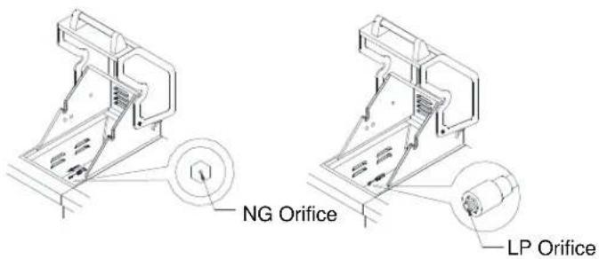 NG Orifice LP Orifice